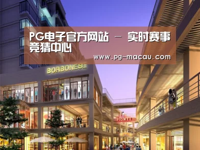 展示一(图1)