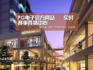 展示一