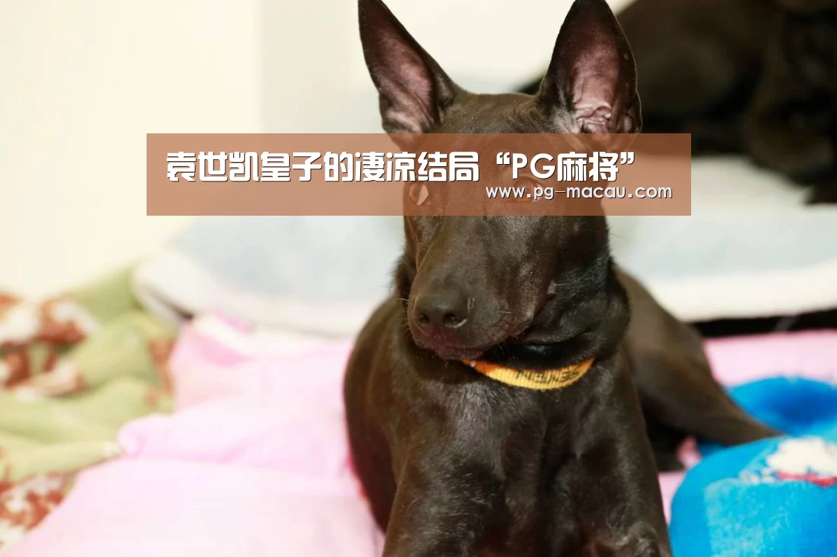 袁世凯皇子的凄凉结局“PG麻将”(图2) PG电子