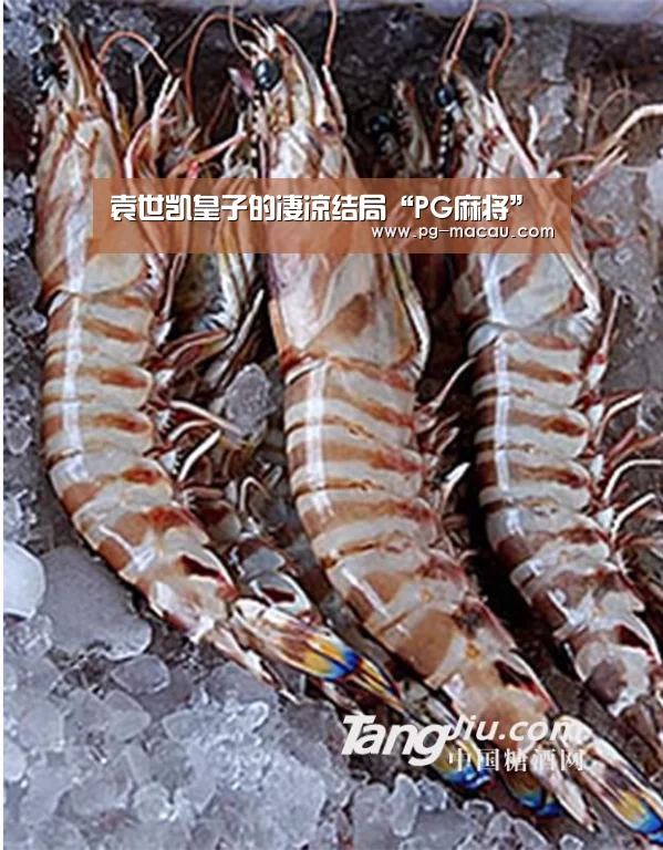 袁世凯皇子的凄凉结局“PG麻将”(图3) PG棋牌