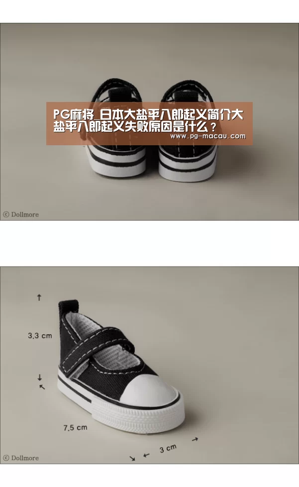 PG麻将_日本大盐平八郎起义简介大盐平八郎起义失败原因是什么?(图3) PG棋牌
