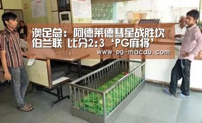 澳足总: 阿德莱德彗星战胜坎伯兰联 比分2:3‘PG麻将’(图1) PG电子