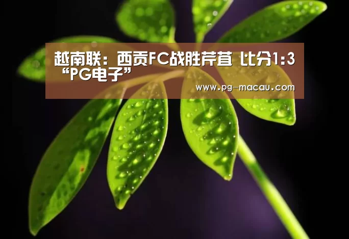 越南联: 西贡FC战胜芹苴 比分1:3“PG电子”(图2) PG麻将