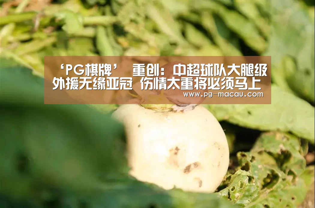‘PG棋牌’
重创:中超球队大腿级外援无缘亚冠 伤情太重将必须马上治疗(图1) PG虎机