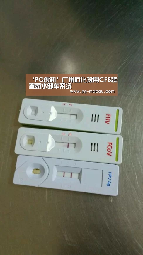 ‘PG虎机’广州石化投用CFB装置氨水卸车系统(图1) PG虎机
