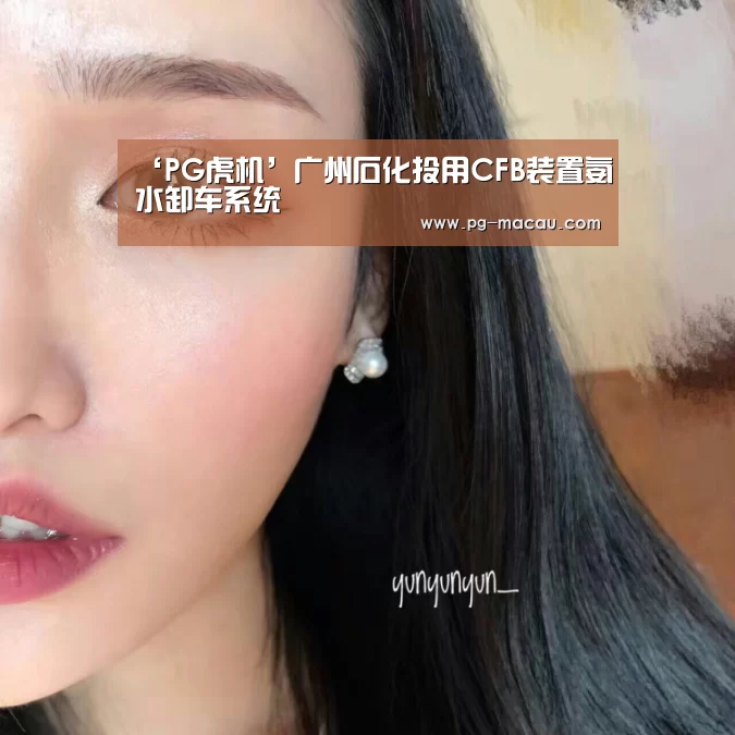 ‘PG虎机’广州石化投用CFB装置氨水卸车系统(图4) PG虎机