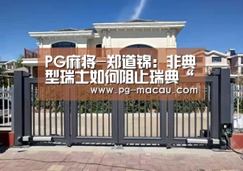 PG麻将-郑道锦:非典型瑞士如何阻止瑞典“一黑到底”?(图4) PG虎机