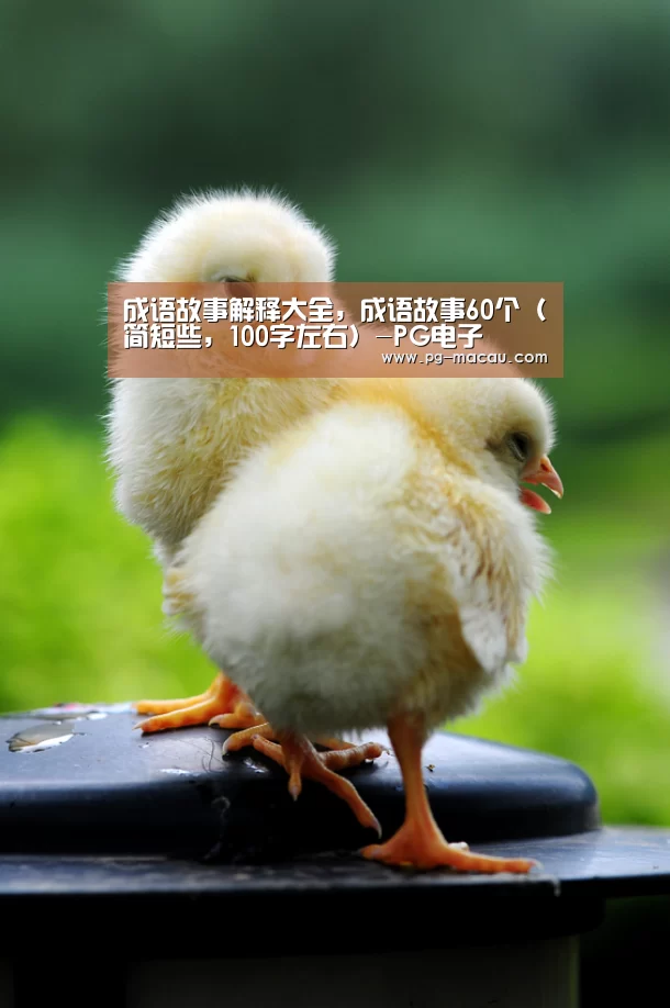 PG电子