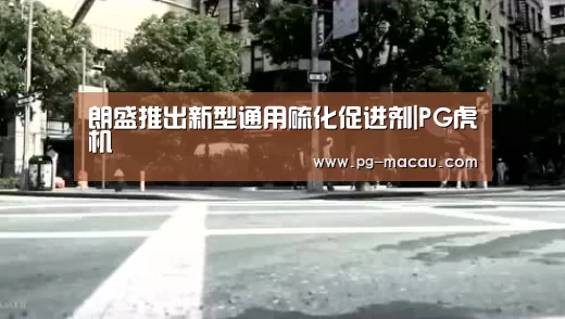 朗盛推出新型通用硫化促进剂|PG虎机(图3) PG虎机