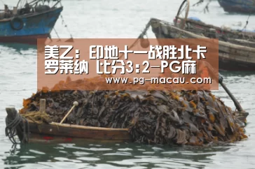 美乙: 印地十一战胜北卡罗莱纳 比分3:2-PG麻将(图1) PG棋牌